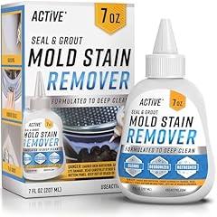 Active Mold Stain Remover Gel