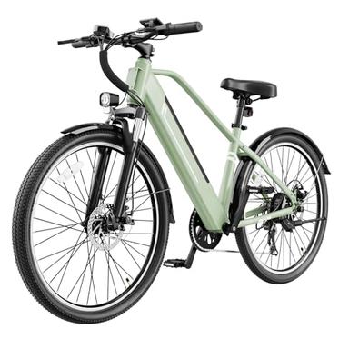 adult electric bicycle