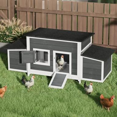 5 little ducks