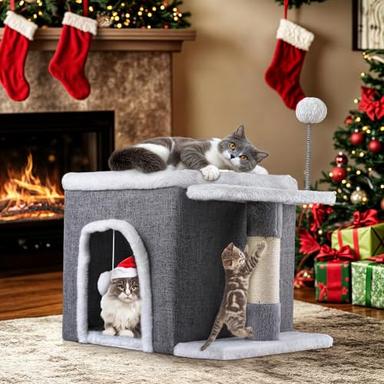 cat bed