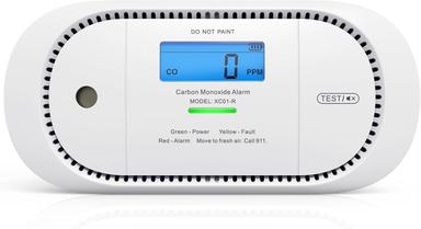 carbon monoxide detector