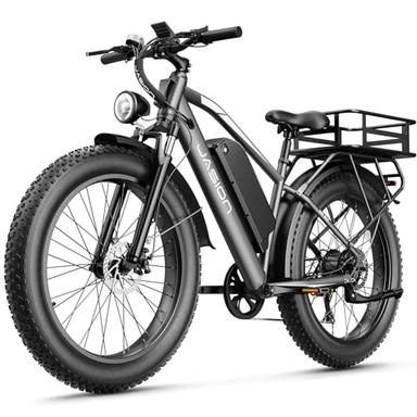electric bike adult