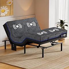 Amada Queen Adjustable Bed and Mattress Set