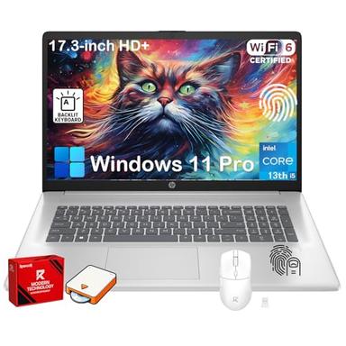 business laptop