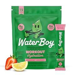 Waterboy Sugar-Free Electrolyte Powder