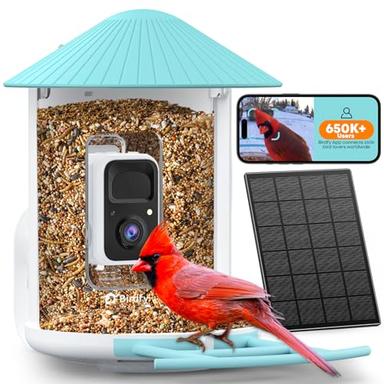 bird house with camera
