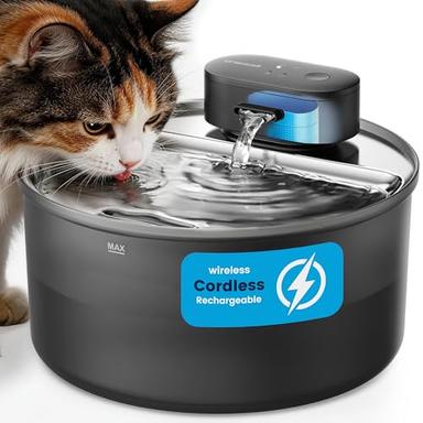 Cat Fountains