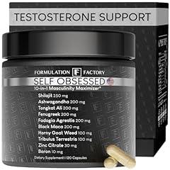 Self Obsessed: 10-in-1 Masculinity Maximizer for Men