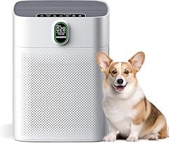 MORENTO Large Room Air Purifier with Sensor