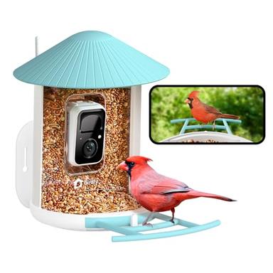 bluebird feeder
