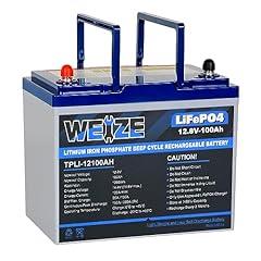 Weize 12V 100Ah LiFePO4 Battery