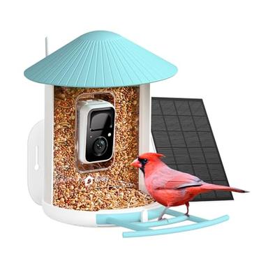 bluebird feeder