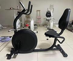 OWLSKY Recumbent Exercise Bike with Bluetooth