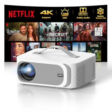 outdoor projector