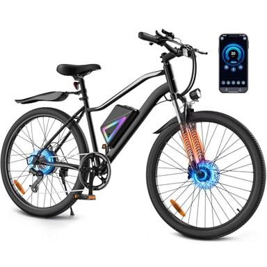 adult electric bicycle