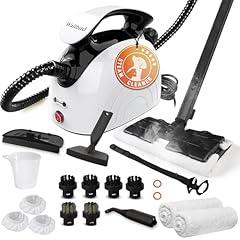 Waitbird Steam Cleaner with Accessories