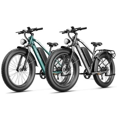 electric bike adult