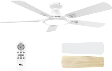 ceiling fan