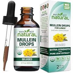 Why Not Natural Organic Mullein Lung Drops