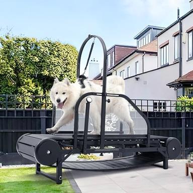 treadmill for dogs