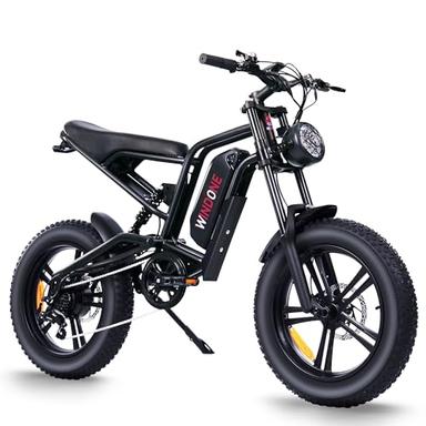 adult electric bicycle