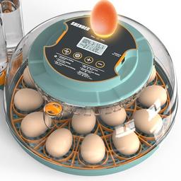 egg incubator