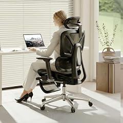 FLEXISPOT ErgoX Premium Ergonomic Chair