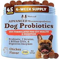 Natural Dog Company Gut Health Probiotic Chews