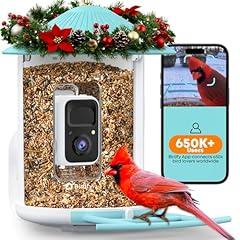 NETVUE Birdfy Smart Bird Feeder Camera
