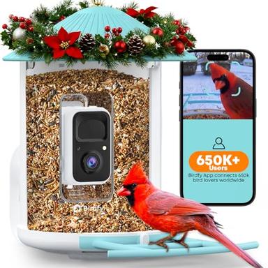 bird camera feeder