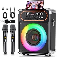 HWWR Bluetooth Karaoke Machine with Microphones