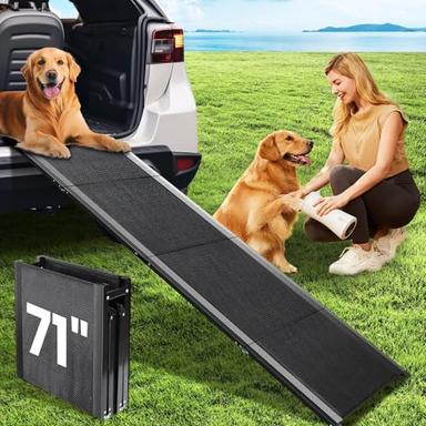 ramp for dogs