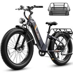 Jasion Thunder Electric Bike