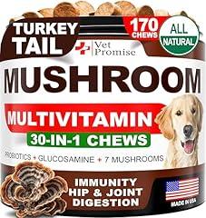 Vet Promise Mushroom Supplement for Dogs