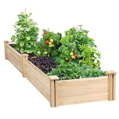 garden beds