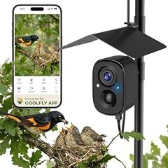 RichBird Solar Powered Smart Bird Camera