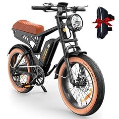isinwheel R6 Retro Electric Bike