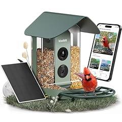 Kiwibit Beako Smart Bird Feeder 4K Camera