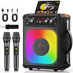 HWWR Portable Karaoke Machine with Bluetooth and Microphones