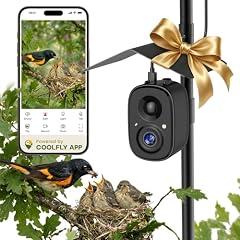 RichBird Solar Powered Smart Bird Camera
