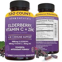 Viva Naturals Elderberry Immune Support Supplement