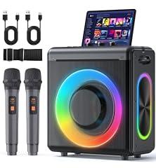 VERKB Karaoke Machine with Wireless Microphones
