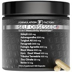 Self Obsessed: 10-in-1 Masculinity Maximizer for Men