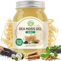 SumDIP Sea Moss Gel 16 in 1