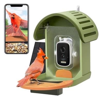 bird camera