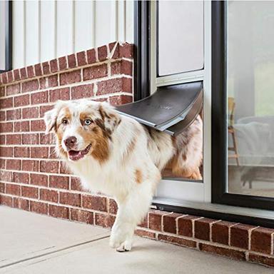 slider dog door