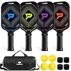 Pickleball Paddle Set for Beginners and Family