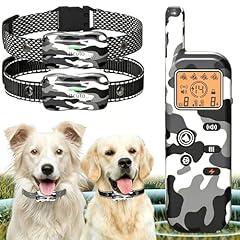 Wireless Dog Fence & Training Collar GT1