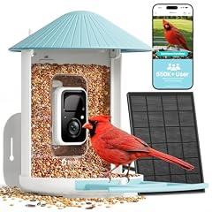 NETVUE Birdfy Smart Bird Feeder Camera