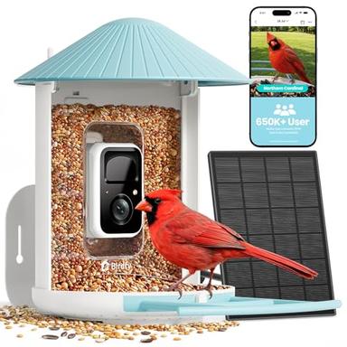 bluebird feeder